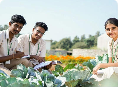 Agriculture
