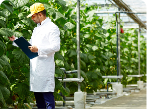 Integrated Agricultural Programs