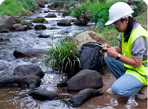 Environmental Engineering