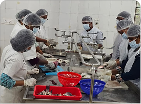 B.Tech (Energy and Environmental Engineering)