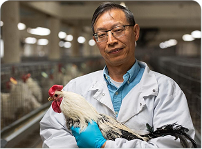 Bachelor of Naturopathy and Yogic Sciences